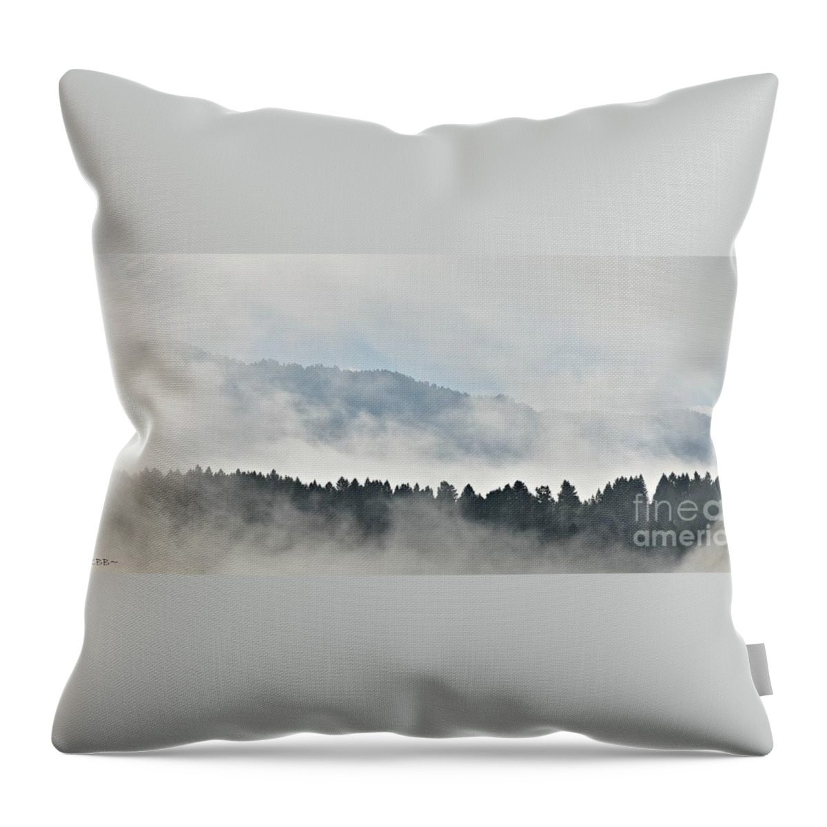 Clouds Throw Pillow featuring the photograph Here There Be Dragons by Dorrene BrownButterfield