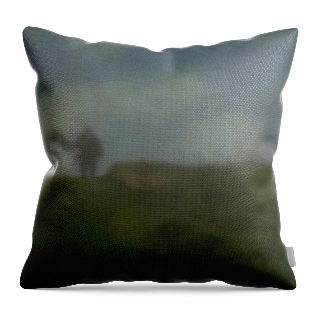 Canada Throw Pillow featuring the photograph Hiking in Fog by Kate Hannon