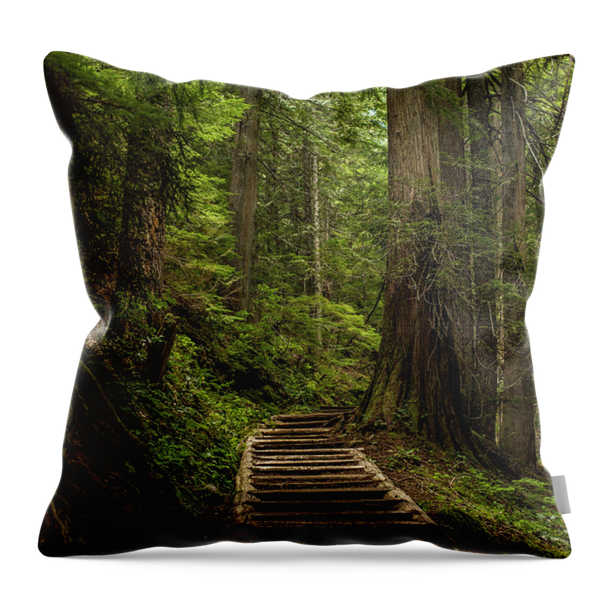Hiking Trail Throw Pillow featuring the photograph Hiking in Mt. Rainier, Washington by Julieta Belmont