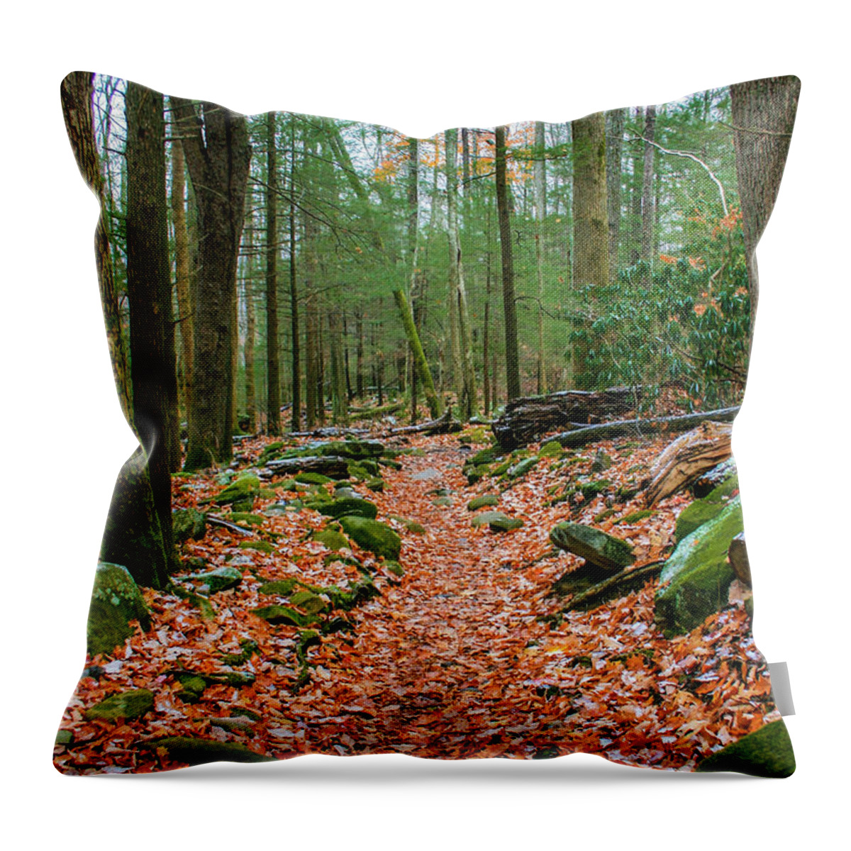 Photo For Sale Throw Pillow featuring the photograph Hiking Trail in Autumn by Robert Wilder Jr