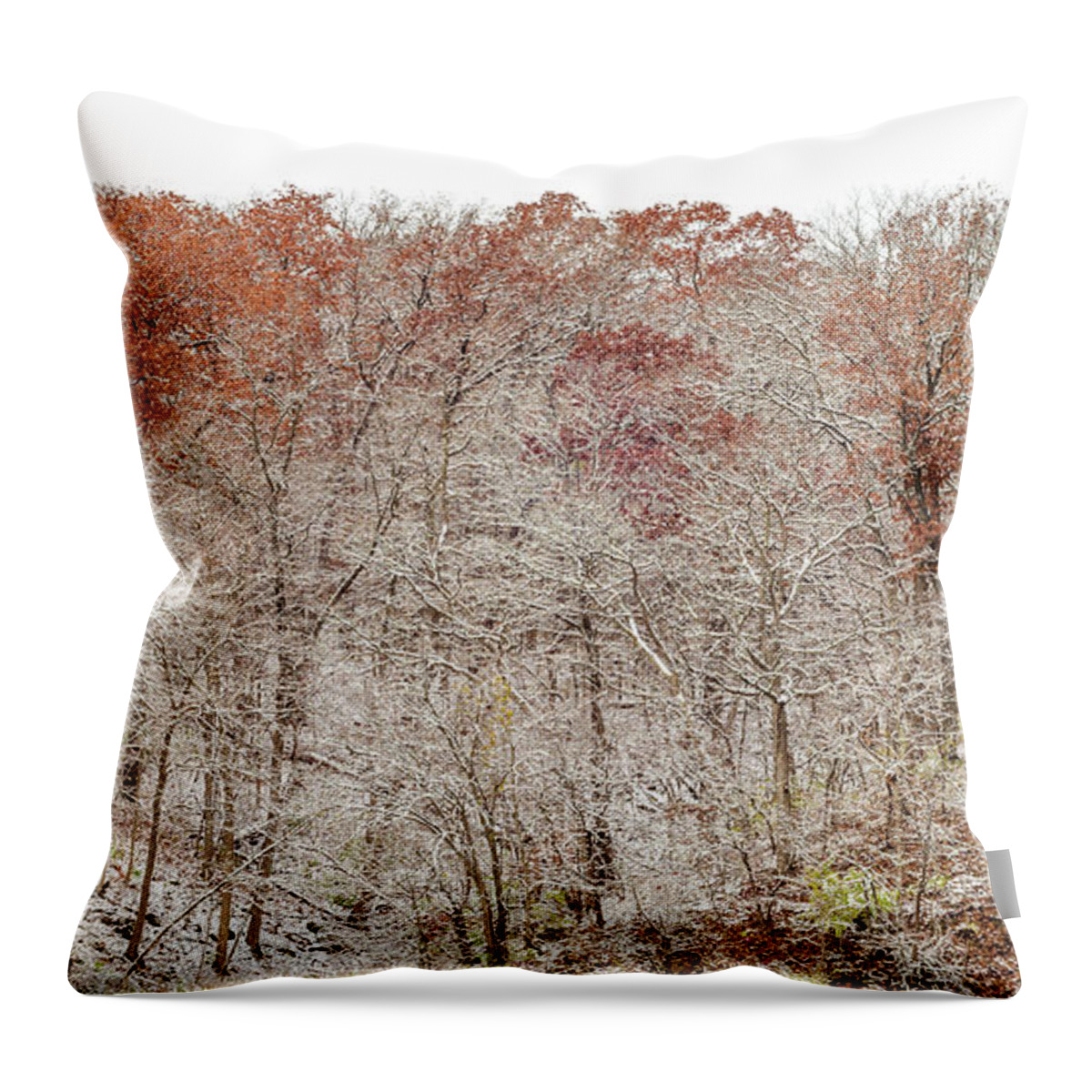 Trees Throw Pillow featuring the photograph Holding Onto Fall by Tamara Becker