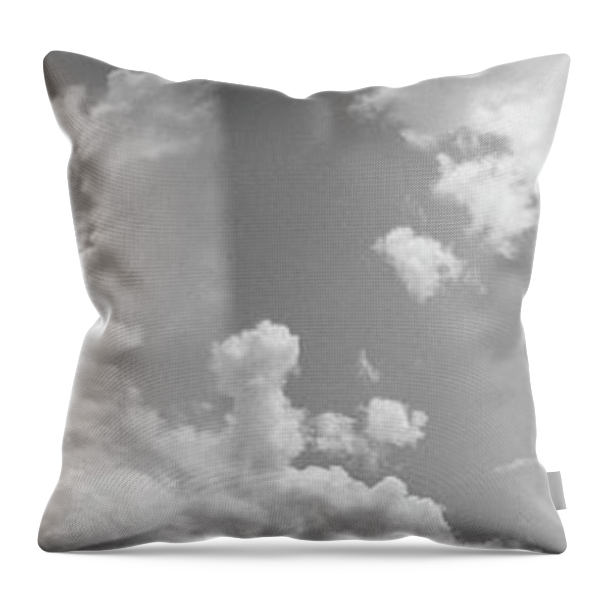 Pecos Throw Pillow featuring the photograph Holga triptych 3 by Catherine Sobredo