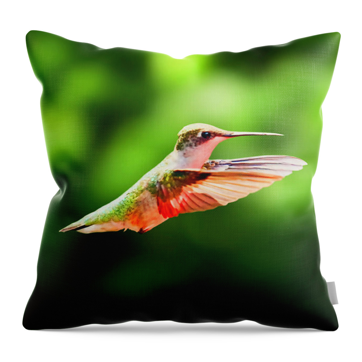 Female Ruby Throat Throw Pillow featuring the photograph Hummingbird Flying by Meta Gatschenberger
