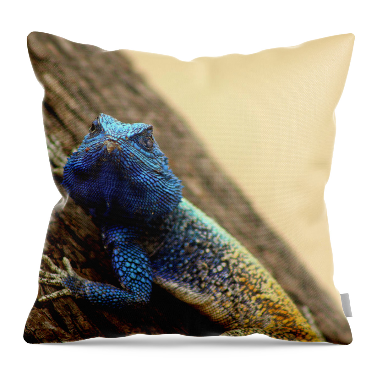  Throw Pillow featuring the photograph I am turning Blue ... by Eric Pengelly