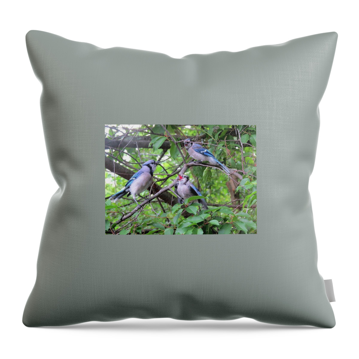 Blue Jays Throw Pillow featuring the photograph I Fed Him Last Time by Linda Stern