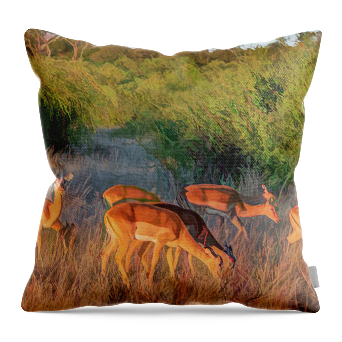 Impala Throw Pillow featuring the photograph Impalas of Botswana, Painterly by Marcy Wielfaert