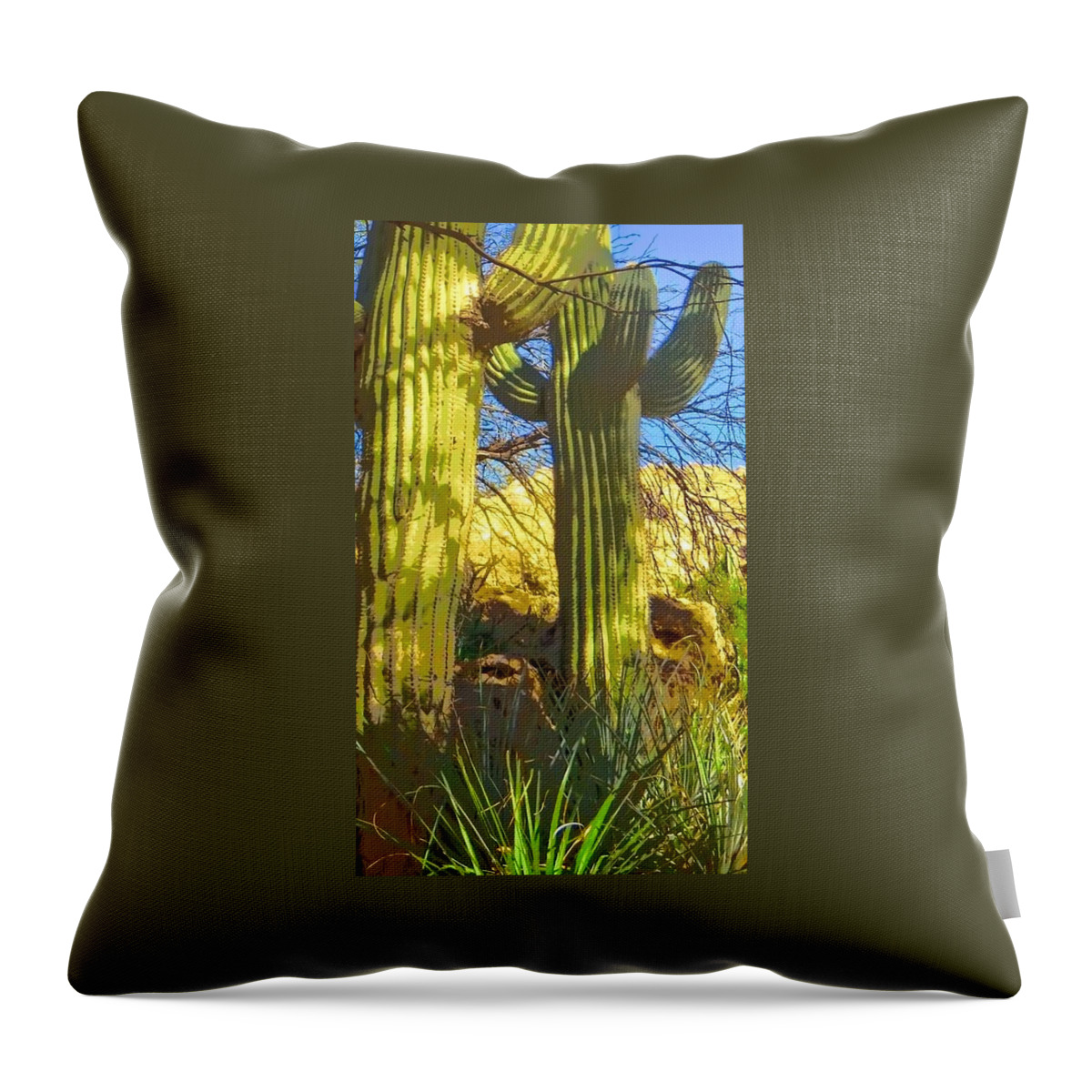 Arboretum Throw Pillow featuring the photograph In the Shadow of Saguaros by Judy Kennedy