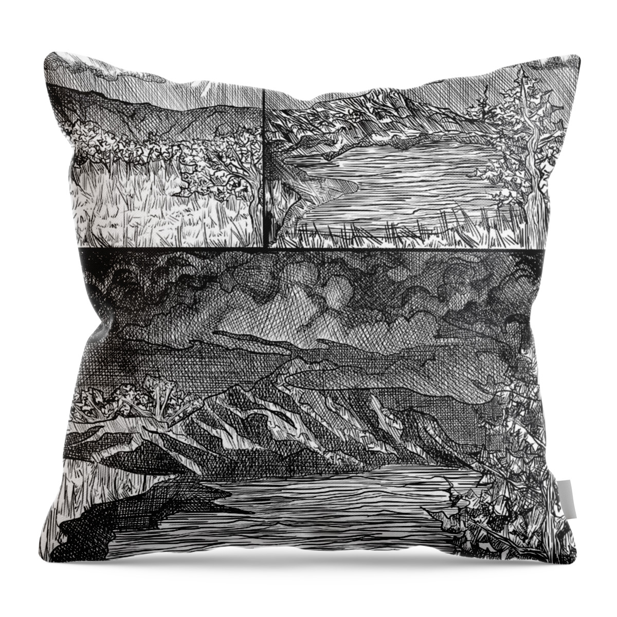 Digital Pen And Ink Throw Pillow featuring the digital art Incoming Storm by Angela Weddle