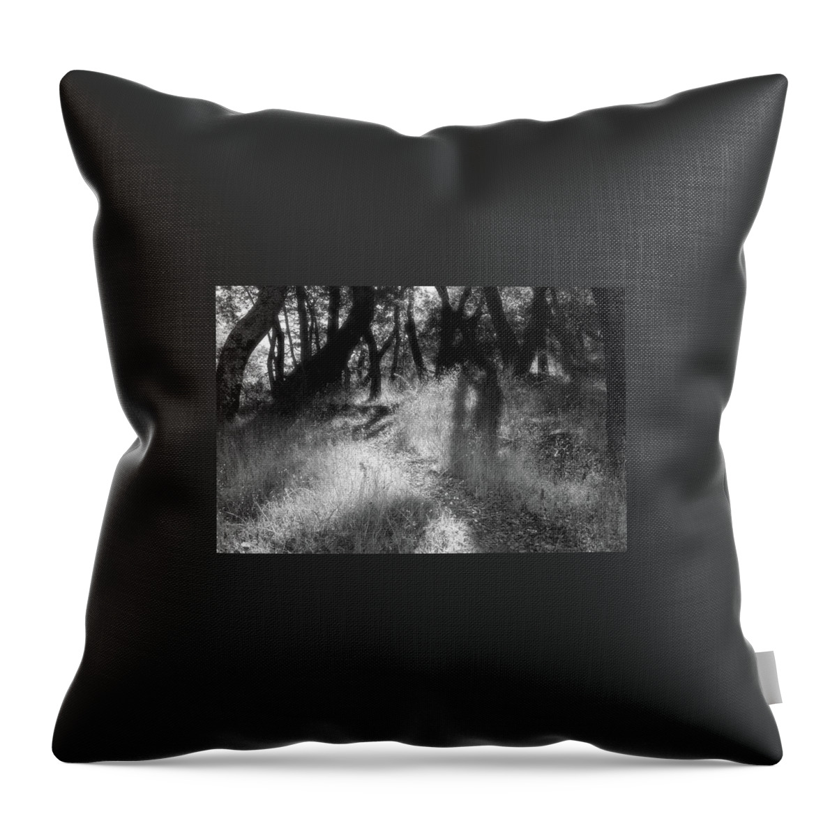 Forest Throw Pillow featuring the photograph Indian Valley Upper Reaches by John Parulis