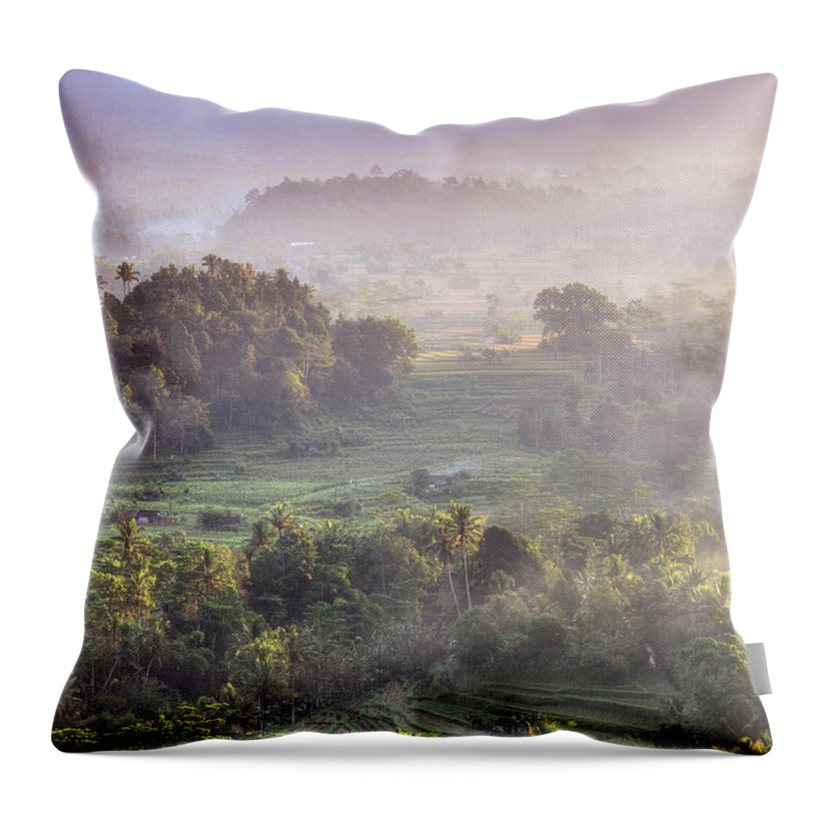Tranquility Throw Pillow featuring the photograph Indonesia, Bali, Forest Landscape by Michele Falzone