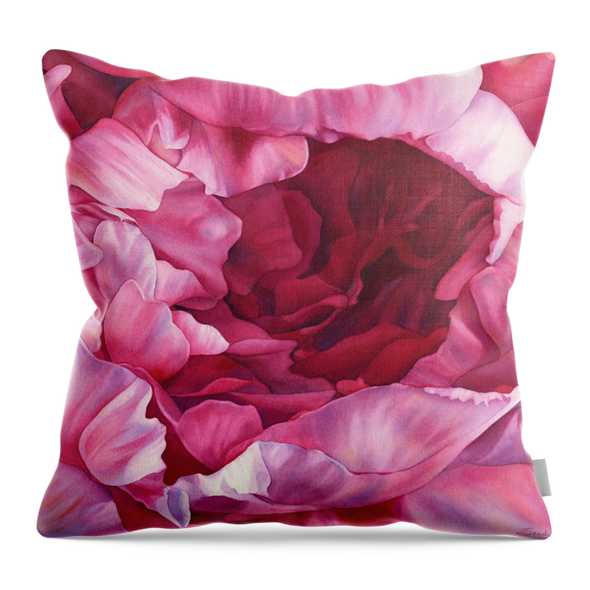 Inner Sanctum Throw Pillow for Sale by Sandy Haight