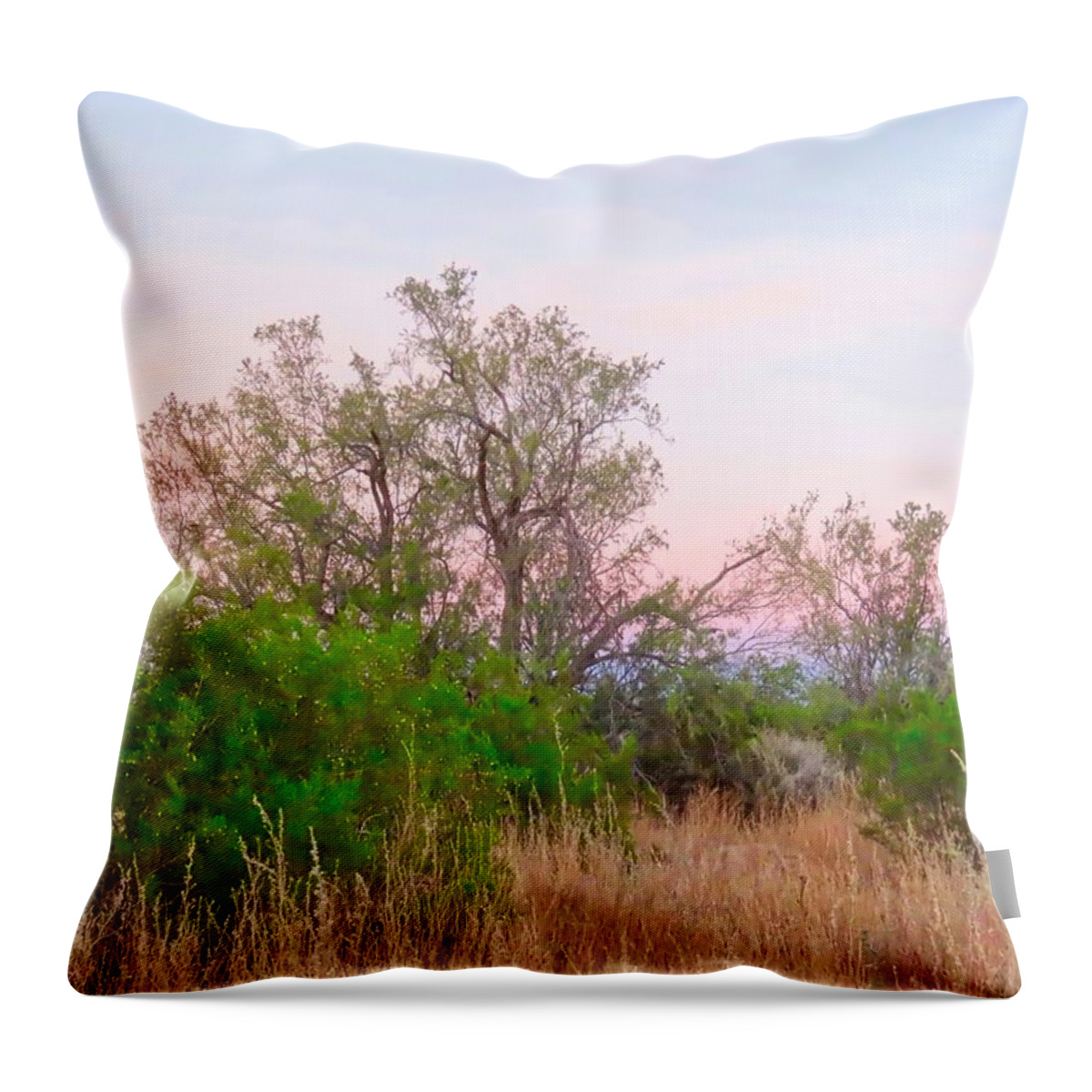 Affordable Throw Pillow featuring the photograph Ironwood Trees After Sundown by Judy Kennedy