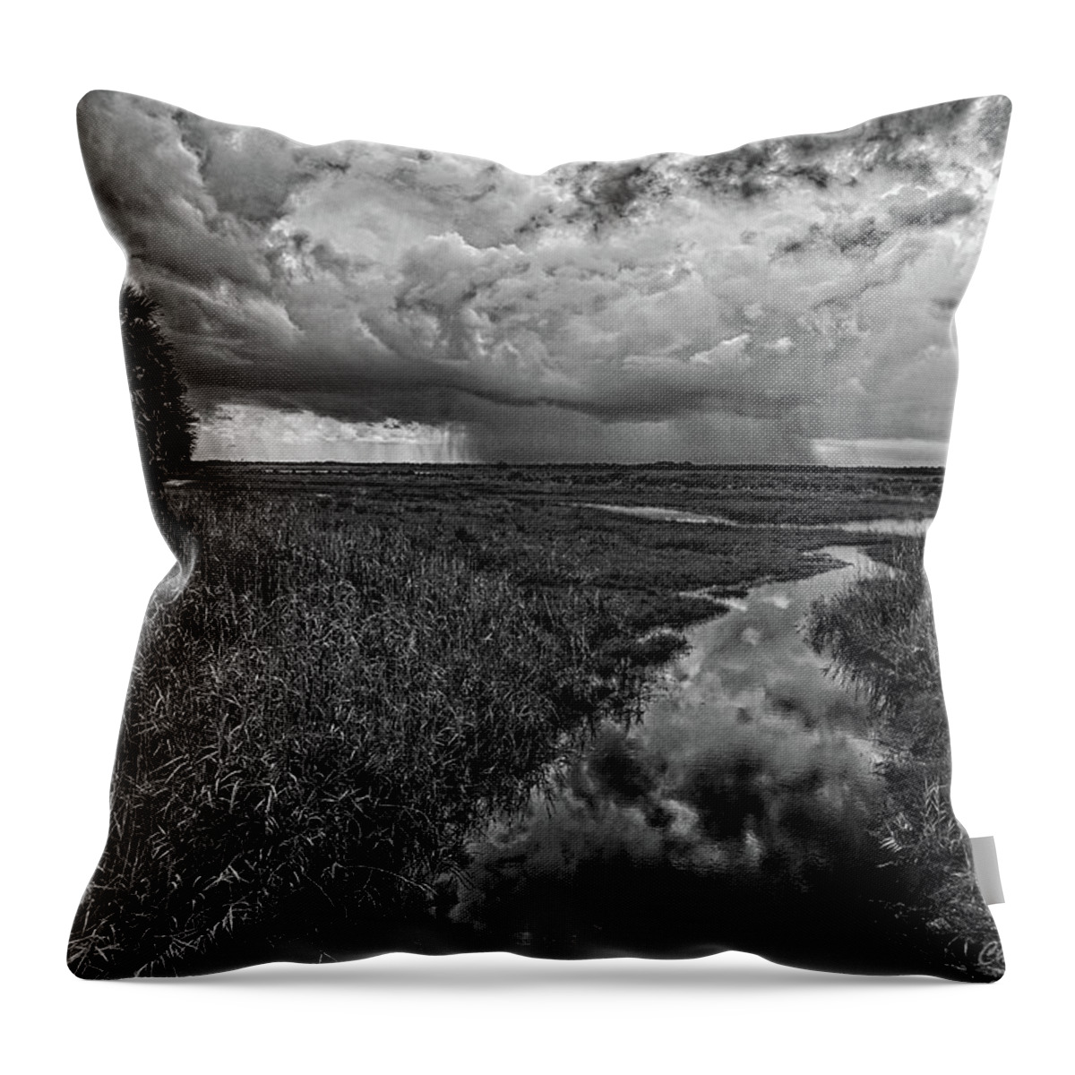 Monochrome Throw Pillow featuring the photograph Isolated Shower - BW by Christopher Holmes
