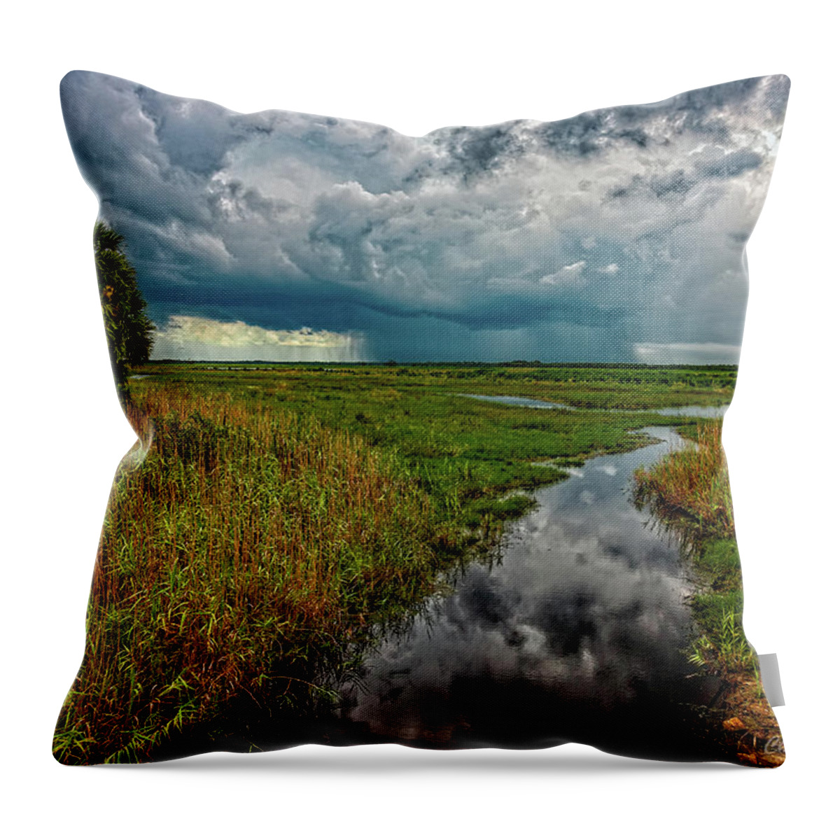 Weather Throw Pillow featuring the photograph Isolated Shower by Christopher Holmes