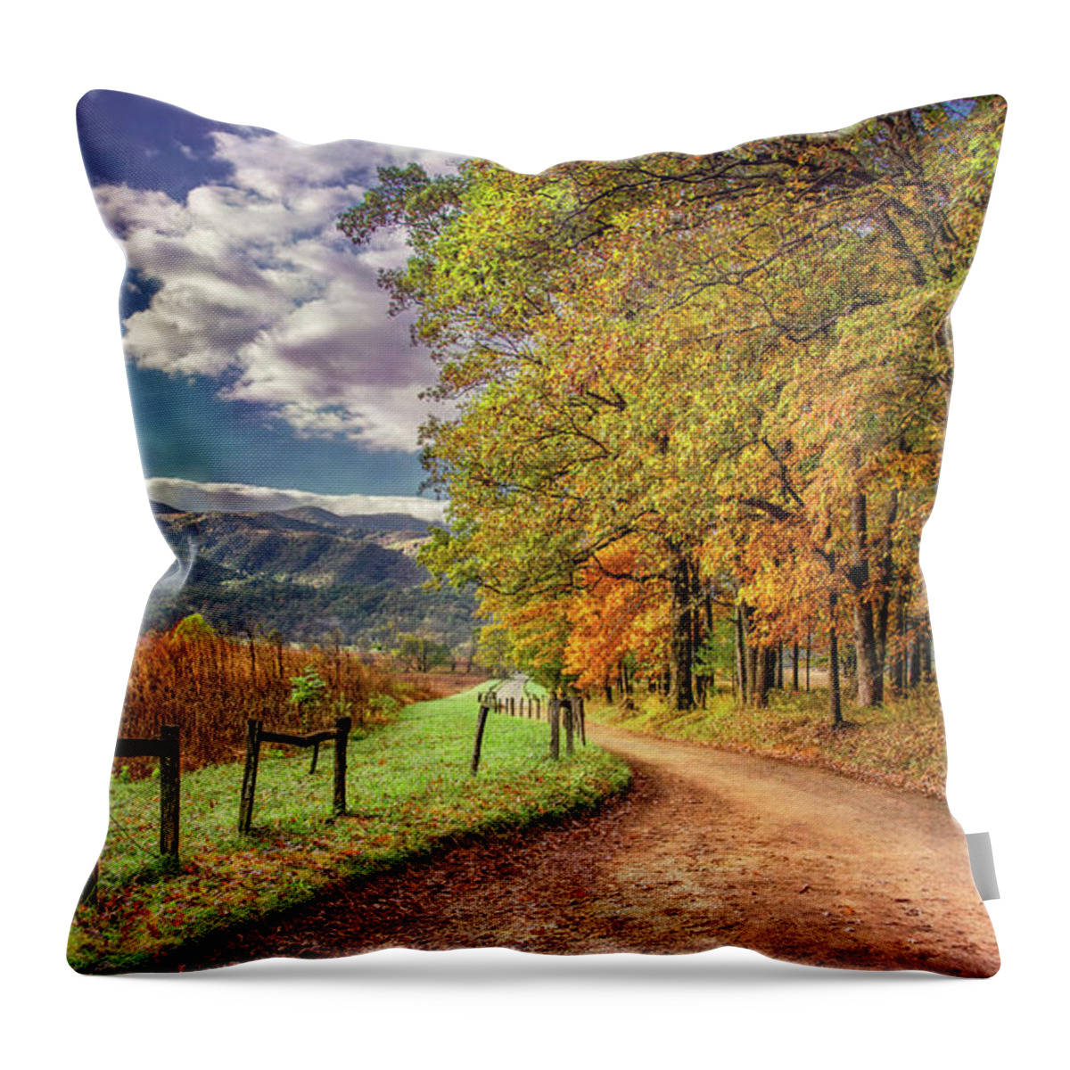 Cades Cove Throw Pillow featuring the photograph It's Finally Fall by Marcy Wielfaert
