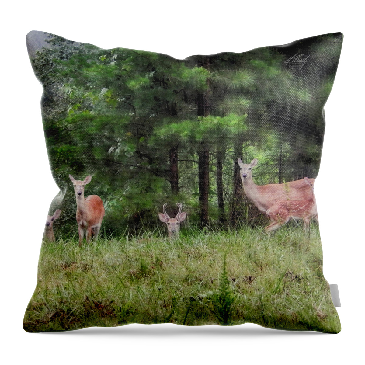Deer Throw Pillow featuring the photograph I've Been Spotted by Michael Frank