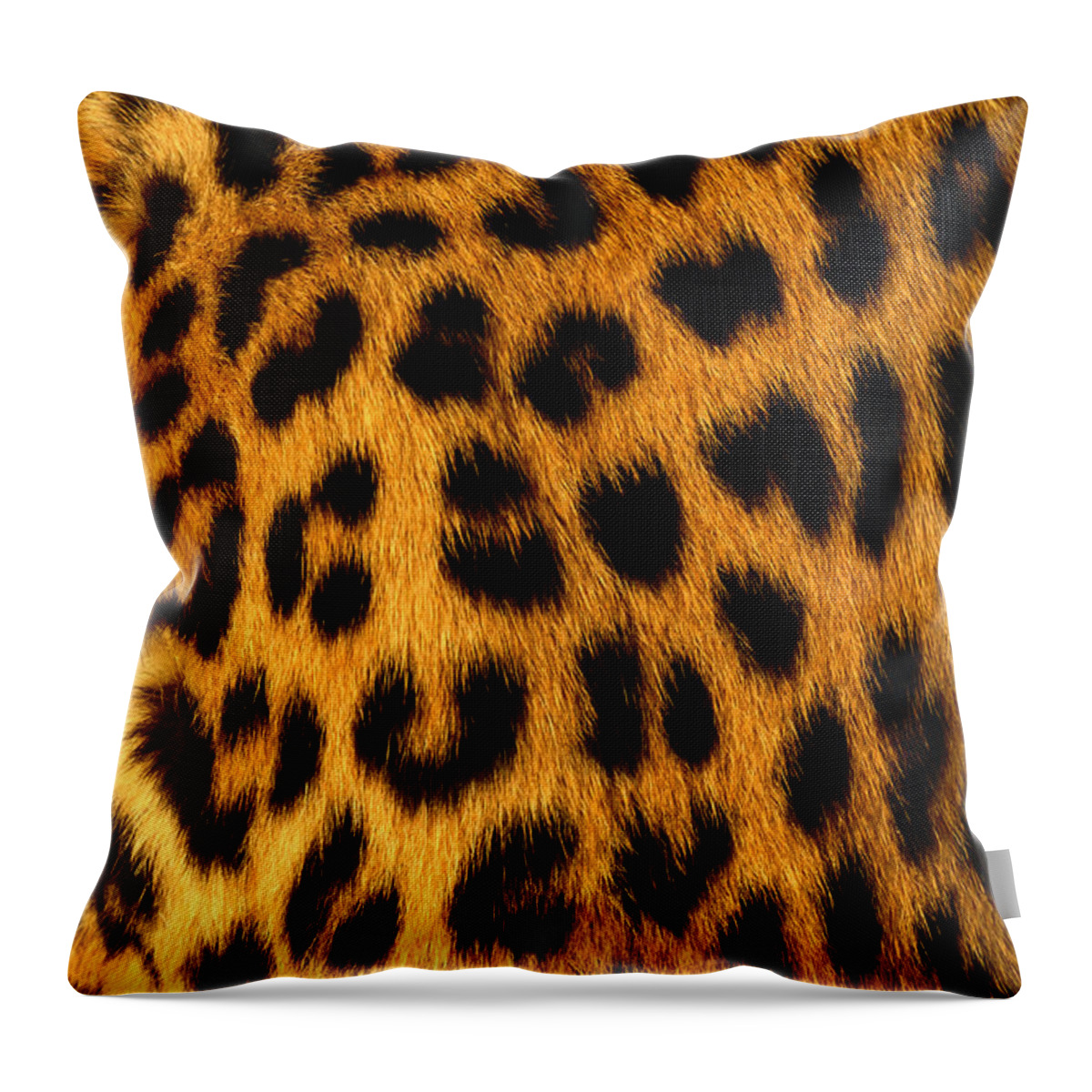 Black Color Throw Pillow featuring the photograph Jaguar Fur by Siede Preis