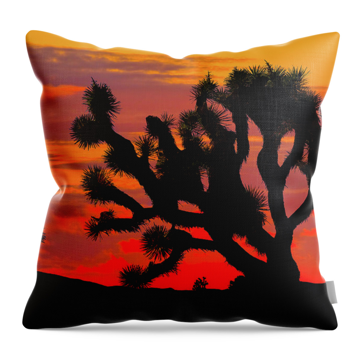 Arid Climate Throw Pillow featuring the photograph Joshua Tree at Sunset by Jeff Goulden