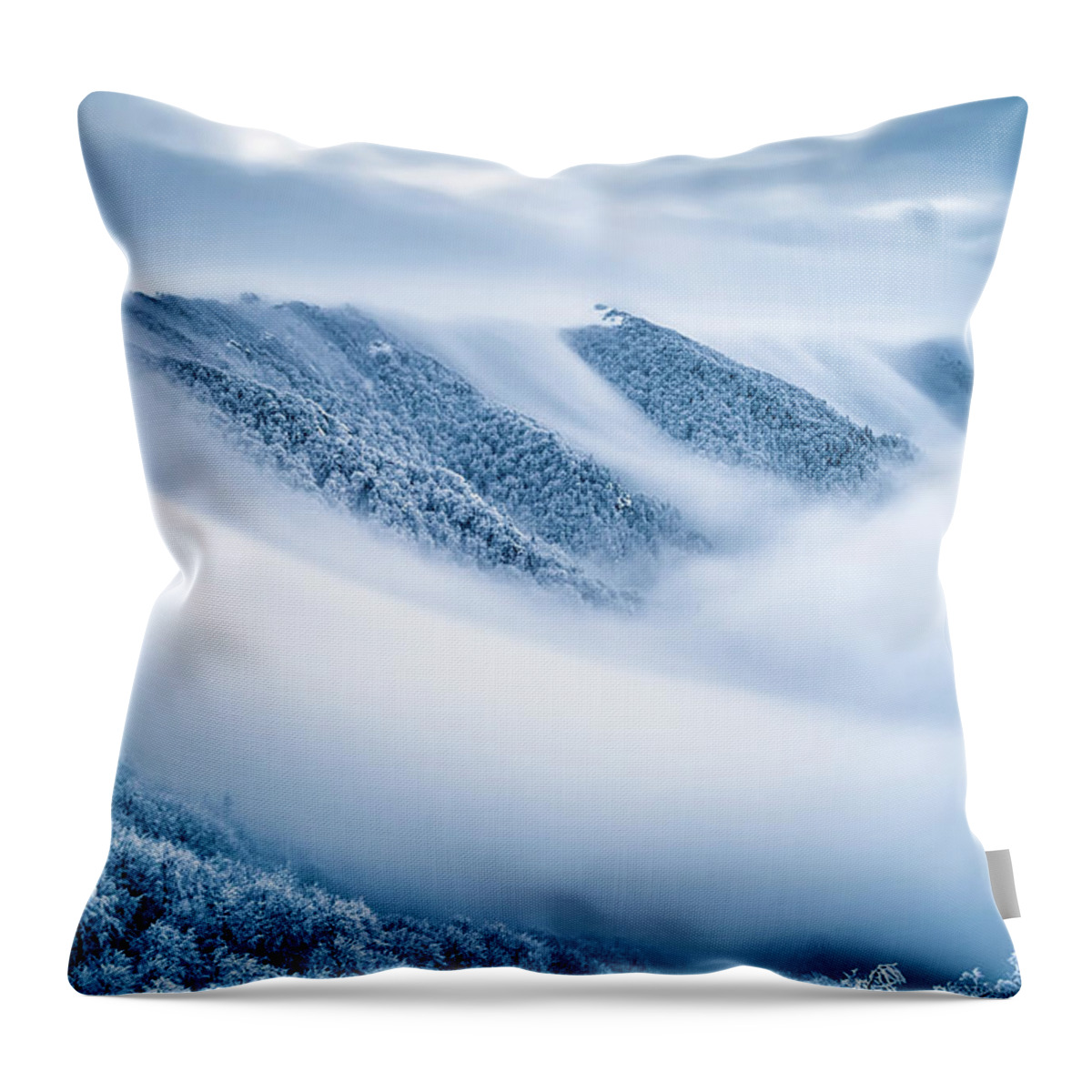 Balkan Mountains Throw Pillow featuring the photograph Kingdom Of the Mists by Evgeni Dinev