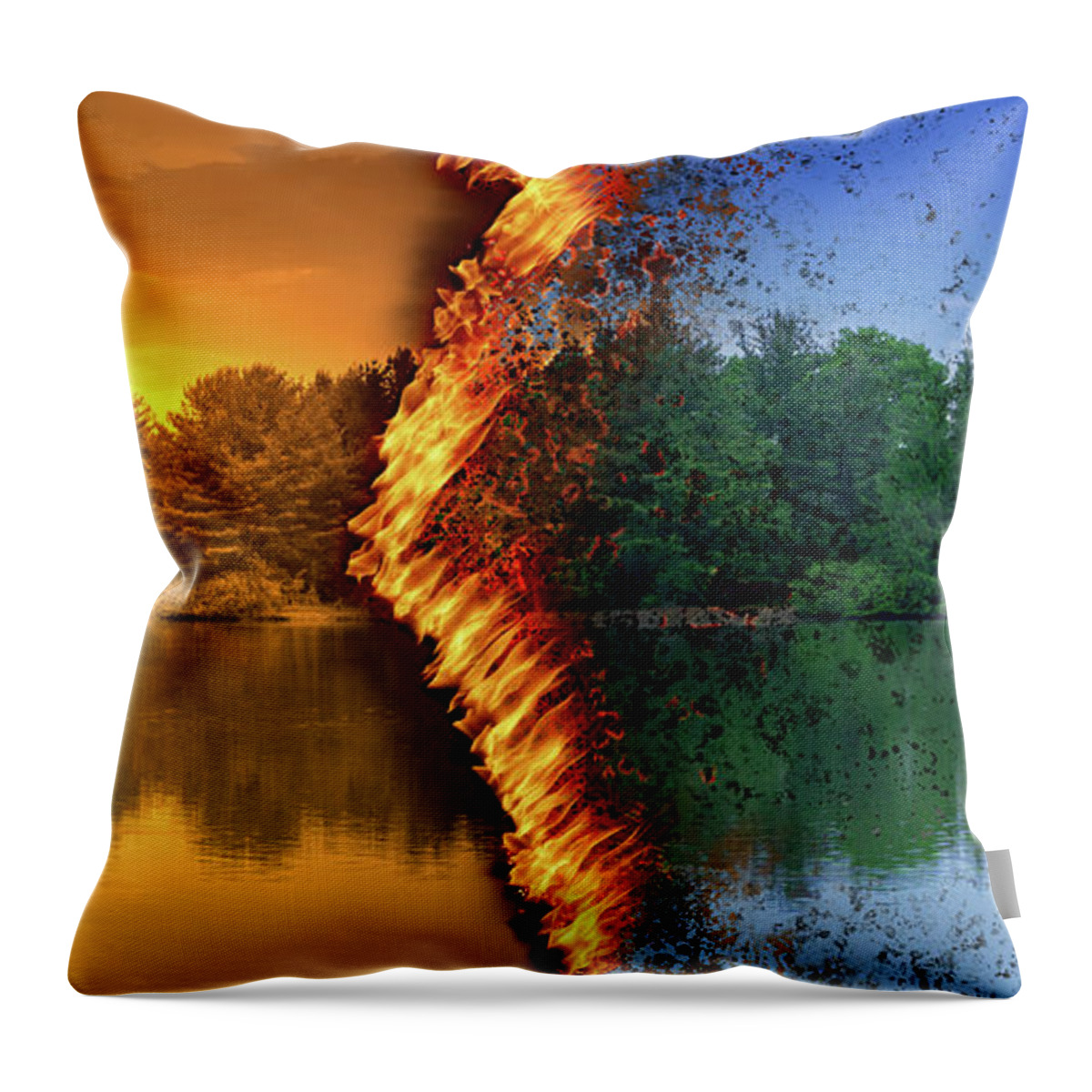 Lake Throw Pillow featuring the photograph Global Warming by Jason Fink
