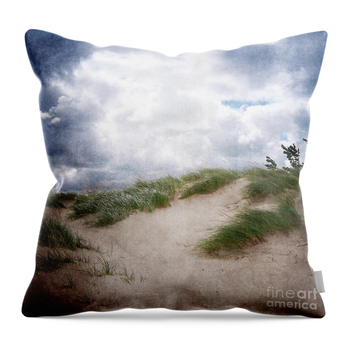 Holland Throw Pillow featuring the photograph Lake Michigan Sand Dunes by Phil Perkins