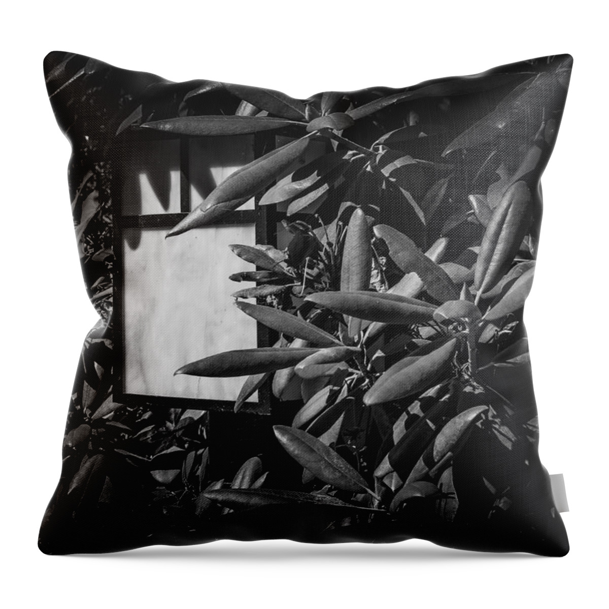 Lamp Throw Pillow featuring the photograph Lamp in Mukilteo by Anamar Pictures