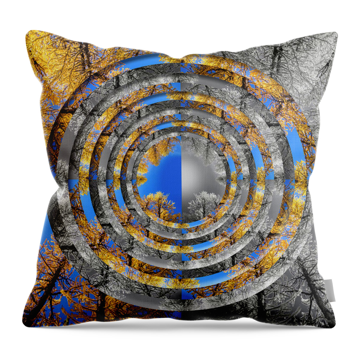 Evergreen Throw Pillow featuring the digital art Larches Color to Black and White Reflection Circles by Pelo Blanco Photo