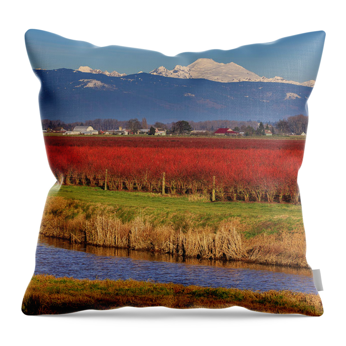 Landscape Throw Pillow featuring the photograph Layer Cake by Briand Sanderson