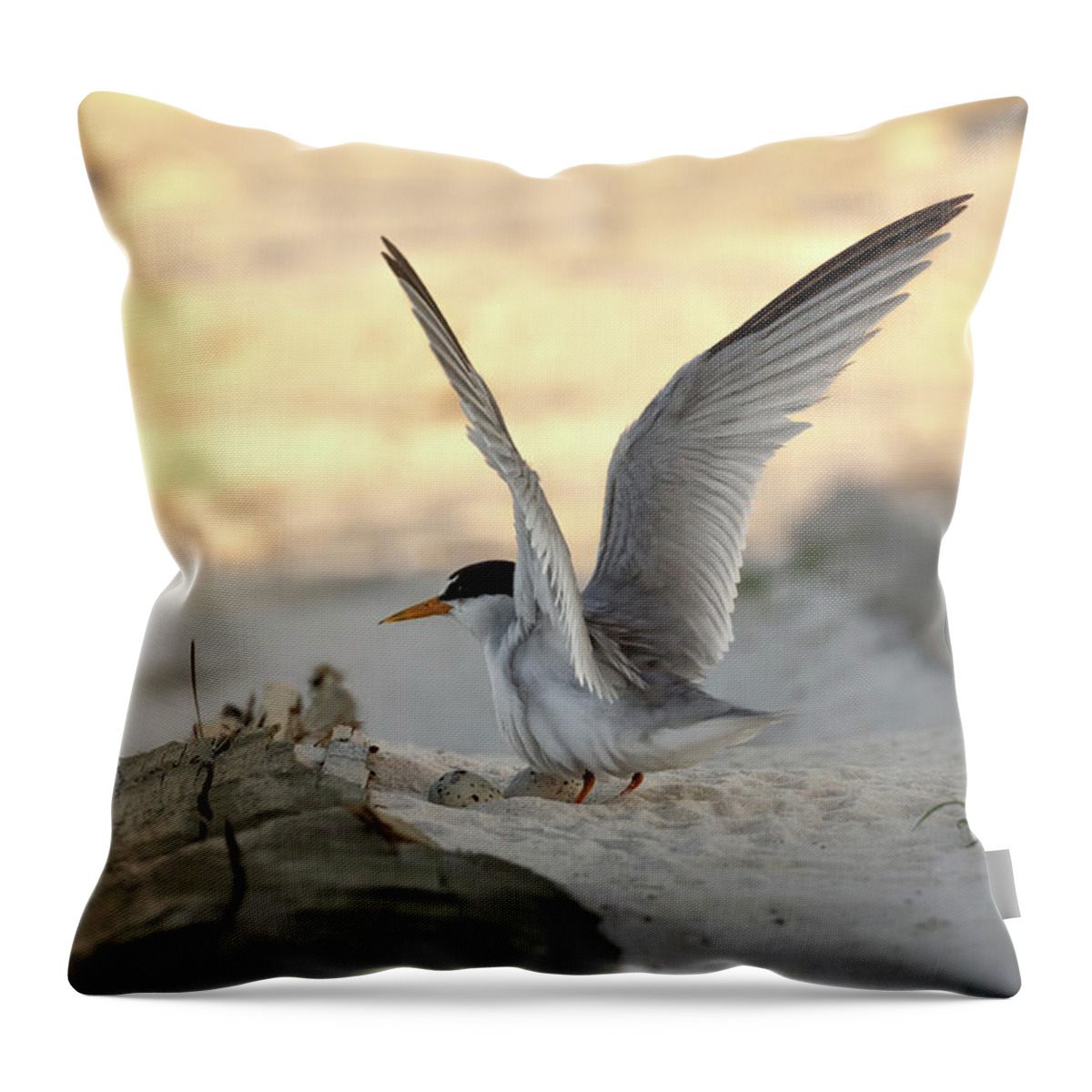 Least Tern Throw Pillow featuring the photograph Least Tern Landing by Susan Rissi Tregoning