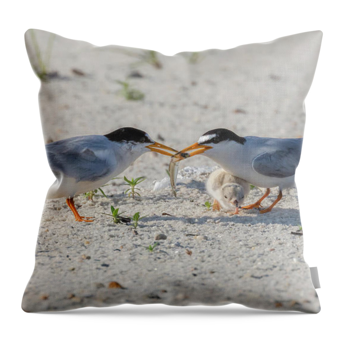 Bird Throw Pillow featuring the photograph Let Me Try by Susan Rissi Tregoning