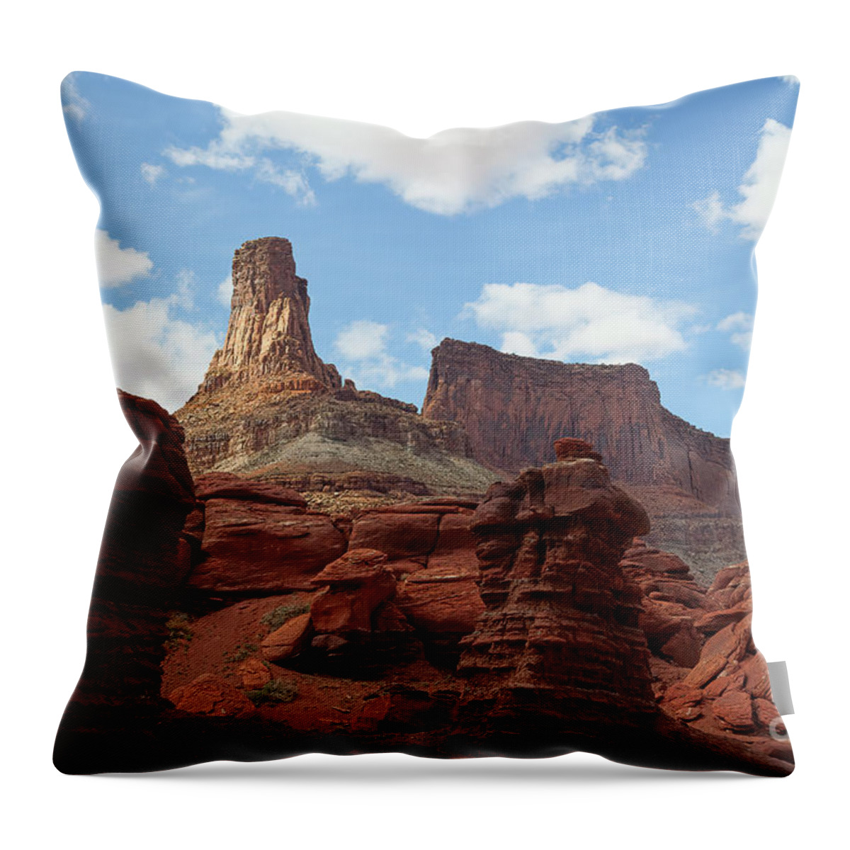 Canyonlands Throw Pillow featuring the photograph Let the Chips Fall by Jim Garrison
