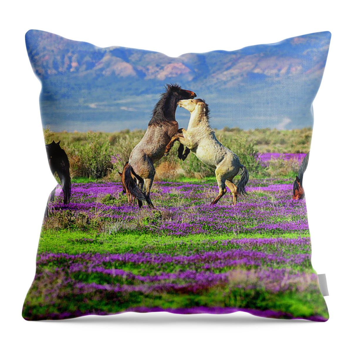 Horses Throw Pillow featuring the photograph Let's Dance by Greg Norrell