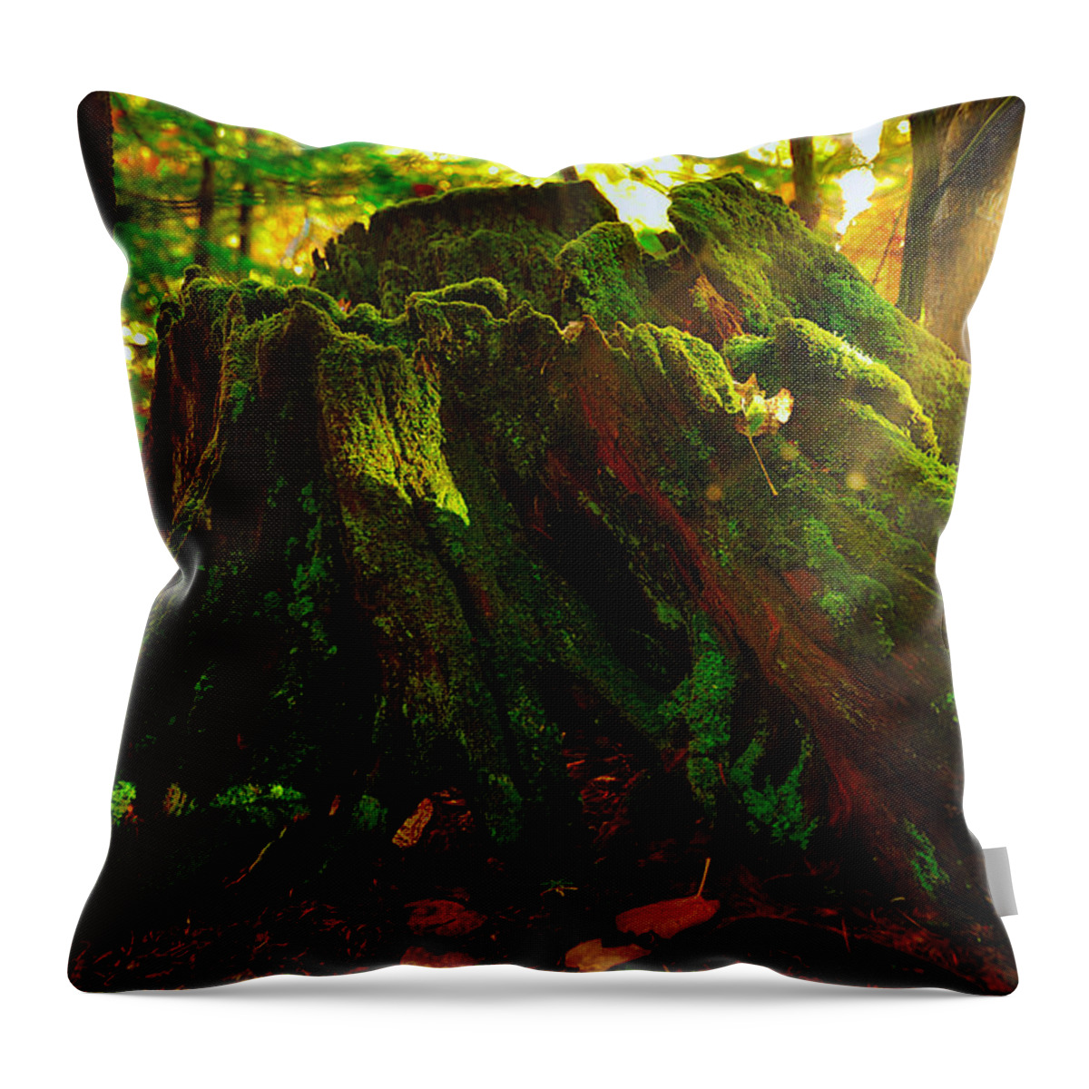 Photograph Throw Pillow featuring the photograph Life from Death by Richard Gehlbach