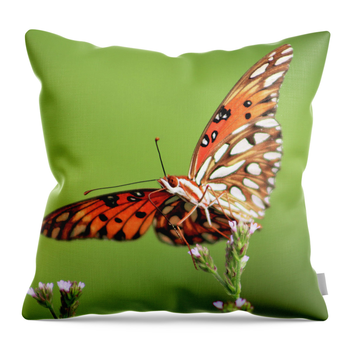 Butterfly Throw Pillow featuring the photograph Life in Balance by Michael Allard
