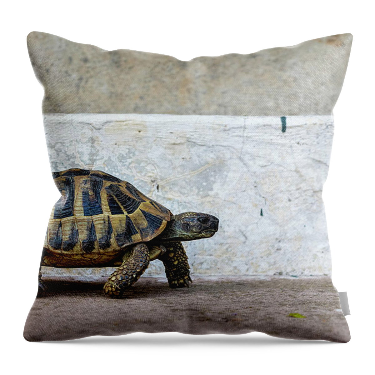Animal Throw Pillow featuring the photograph Life in the Fast Lane by Rick Deacon