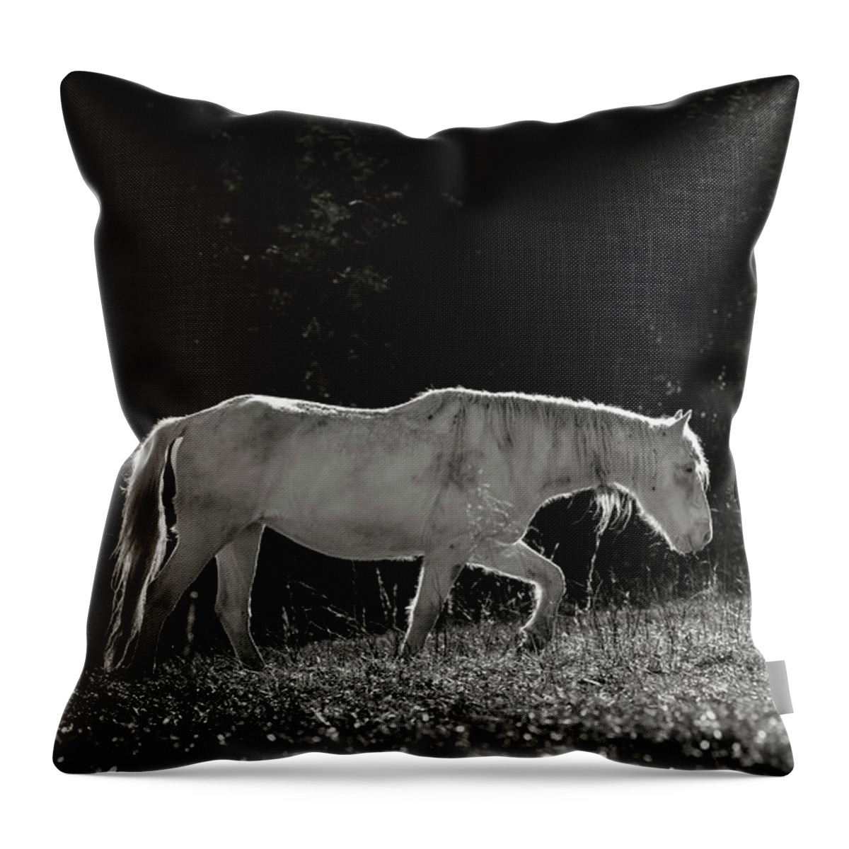 Horse Throw Pillow featuring the photograph Life is an Uphill Battle by Holly Ross