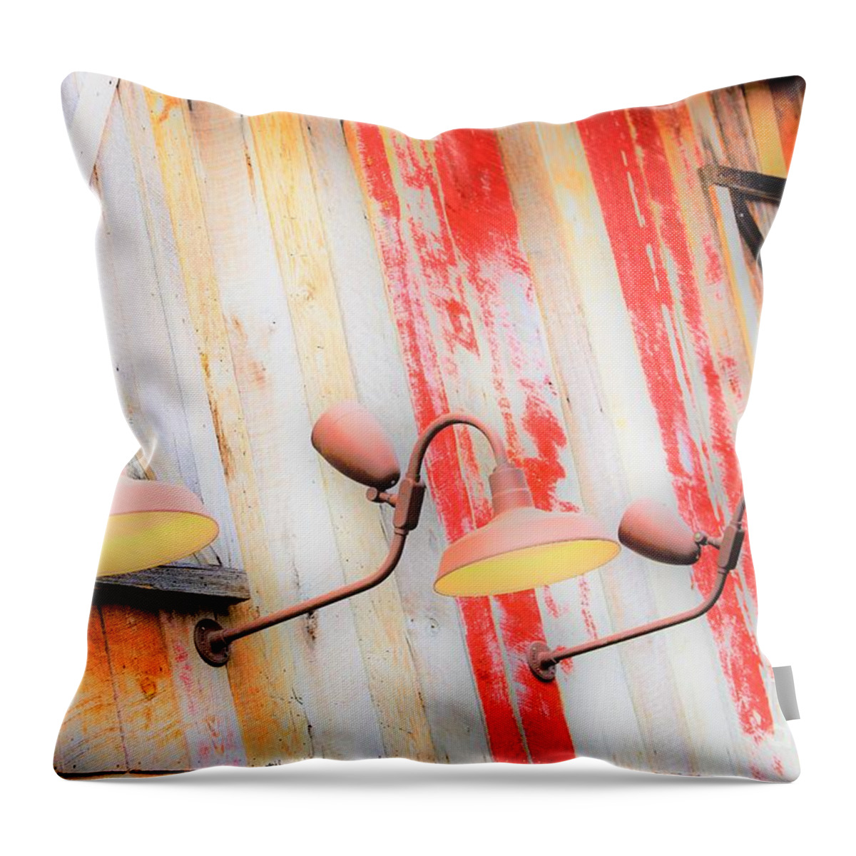 Building Throw Pillow featuring the photograph Light my Side by Merle Grenz