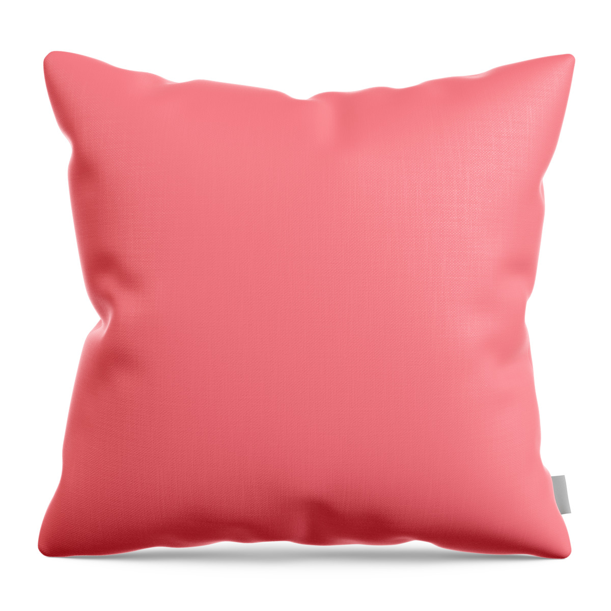 Wayfair  Pink Throw Pillows You'll Love in 2024
