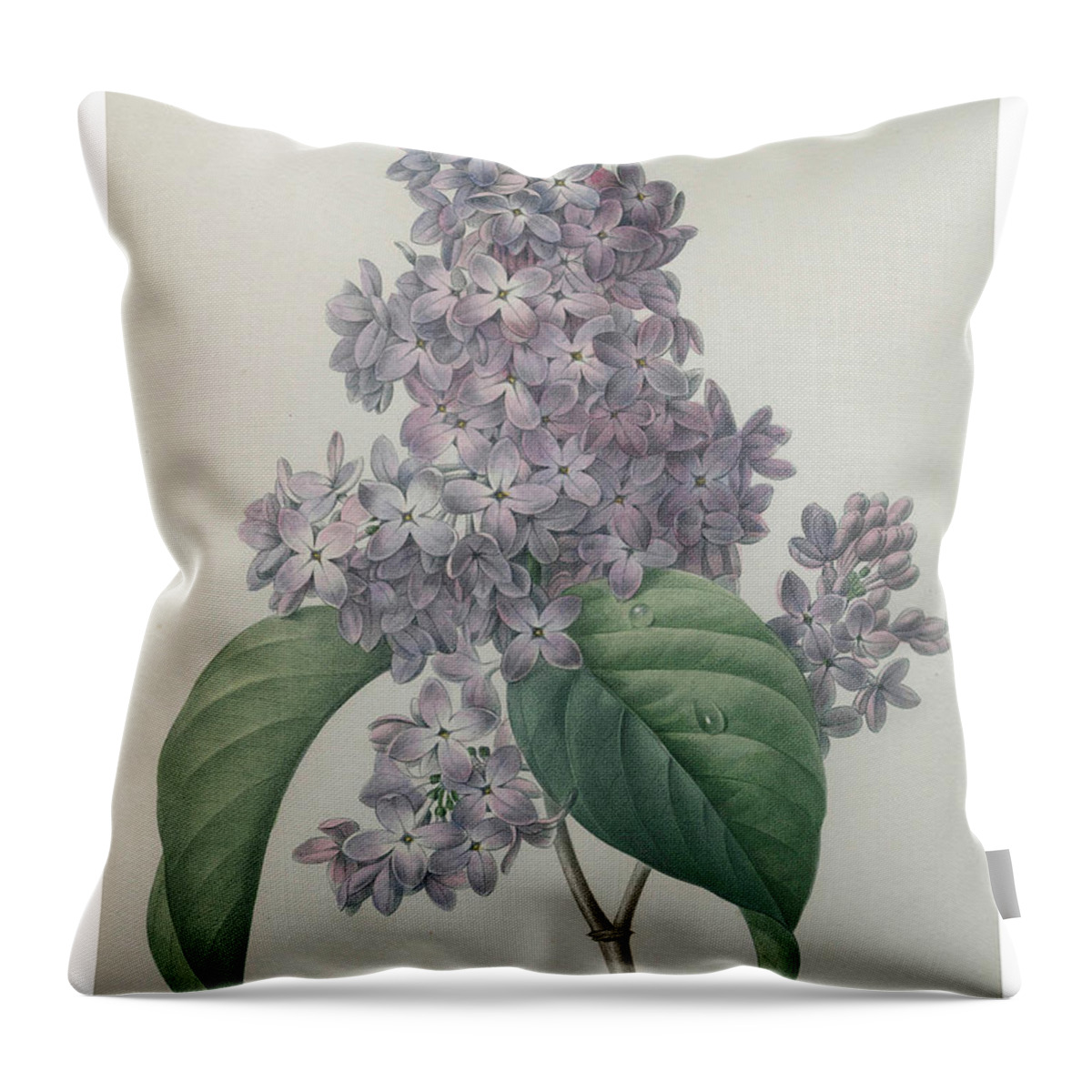 Redoute Throw Pillow featuring the painting Lilacs by Pierre-Joseph Redoute