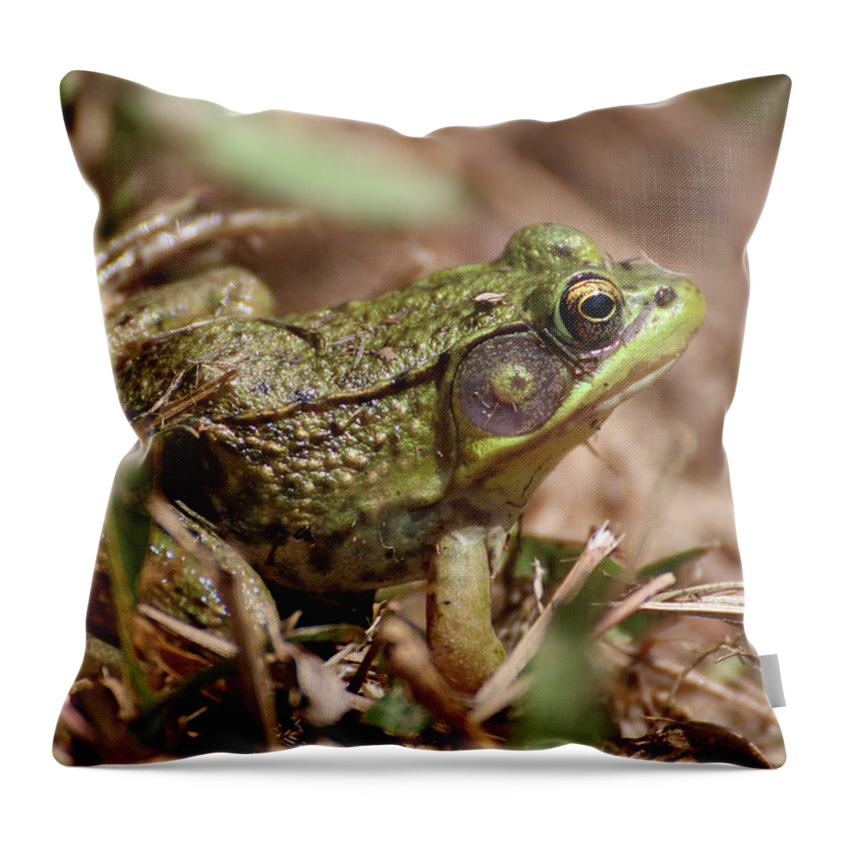 Frog Throw Pillow featuring the photograph Little Green Frog by William Selander