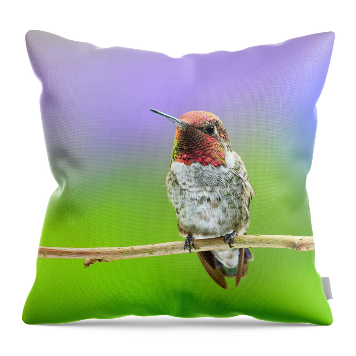 Animal Throw Pillow featuring the photograph Little Jewel by Briand Sanderson