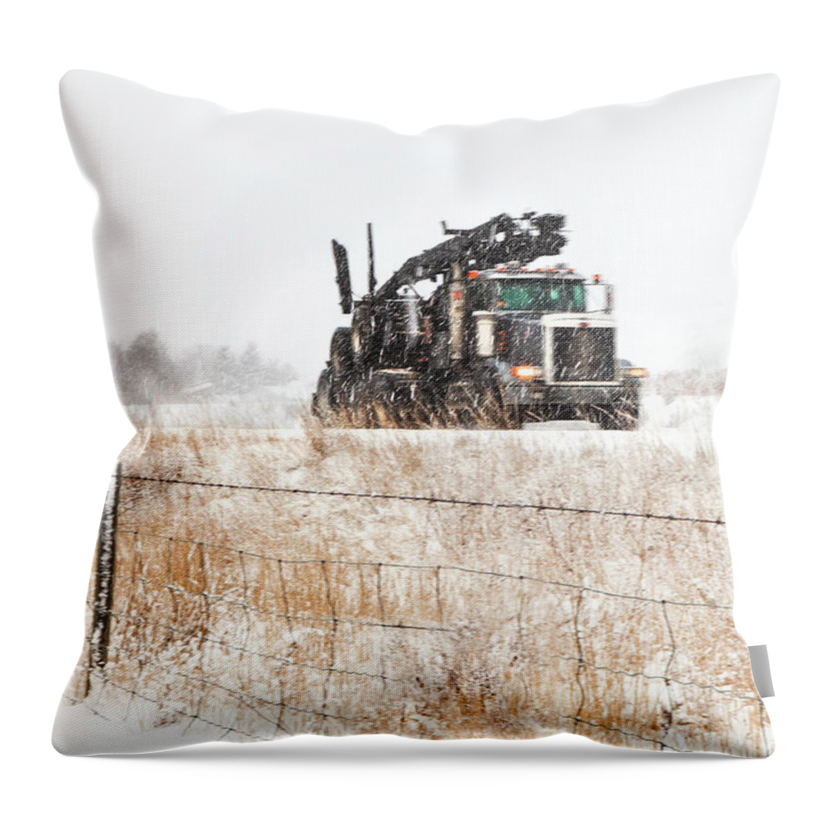  Trucks Throw Pillow featuring the photograph Logging Truck by Theresa Tahara