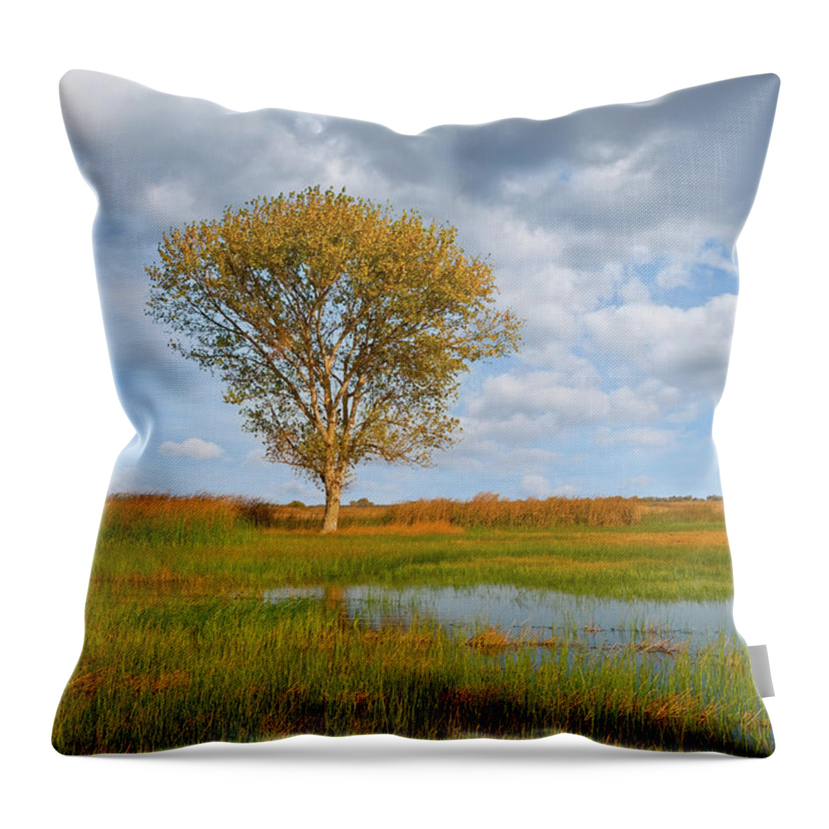 Autumn Throw Pillow featuring the photograph Lone Tree by a Wetland by Jeff Goulden