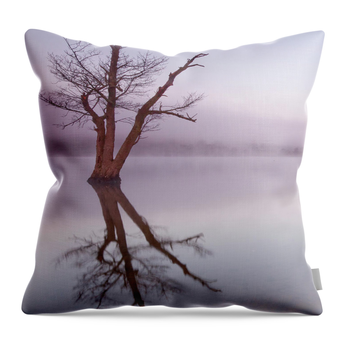 Landscape Throw Pillow featuring the photograph Lone tree in still lake in the mist at sunrise by Anita Nicholson