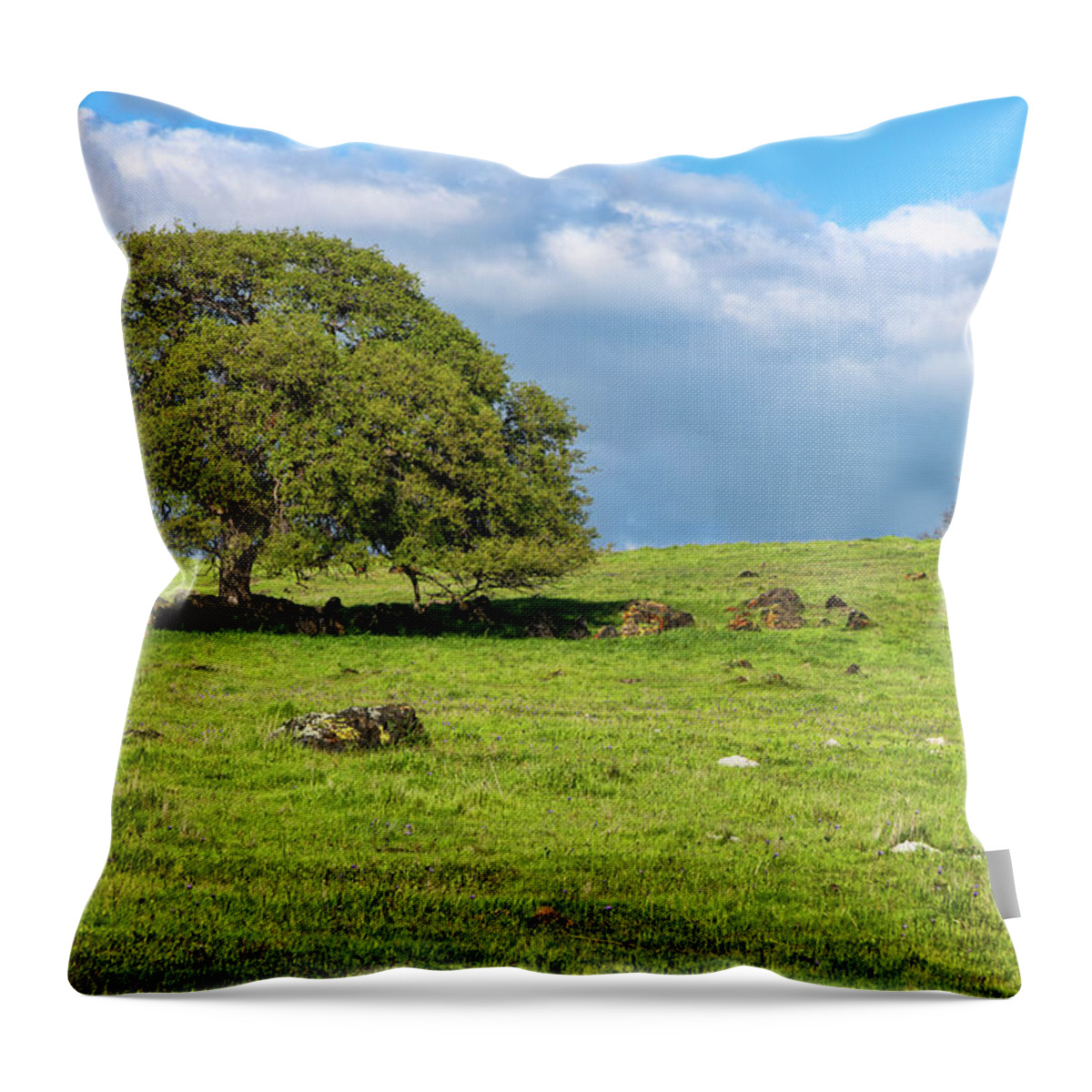 Cattle Throw Pillow featuring the photograph Lonely Steer by Dan McGeorge