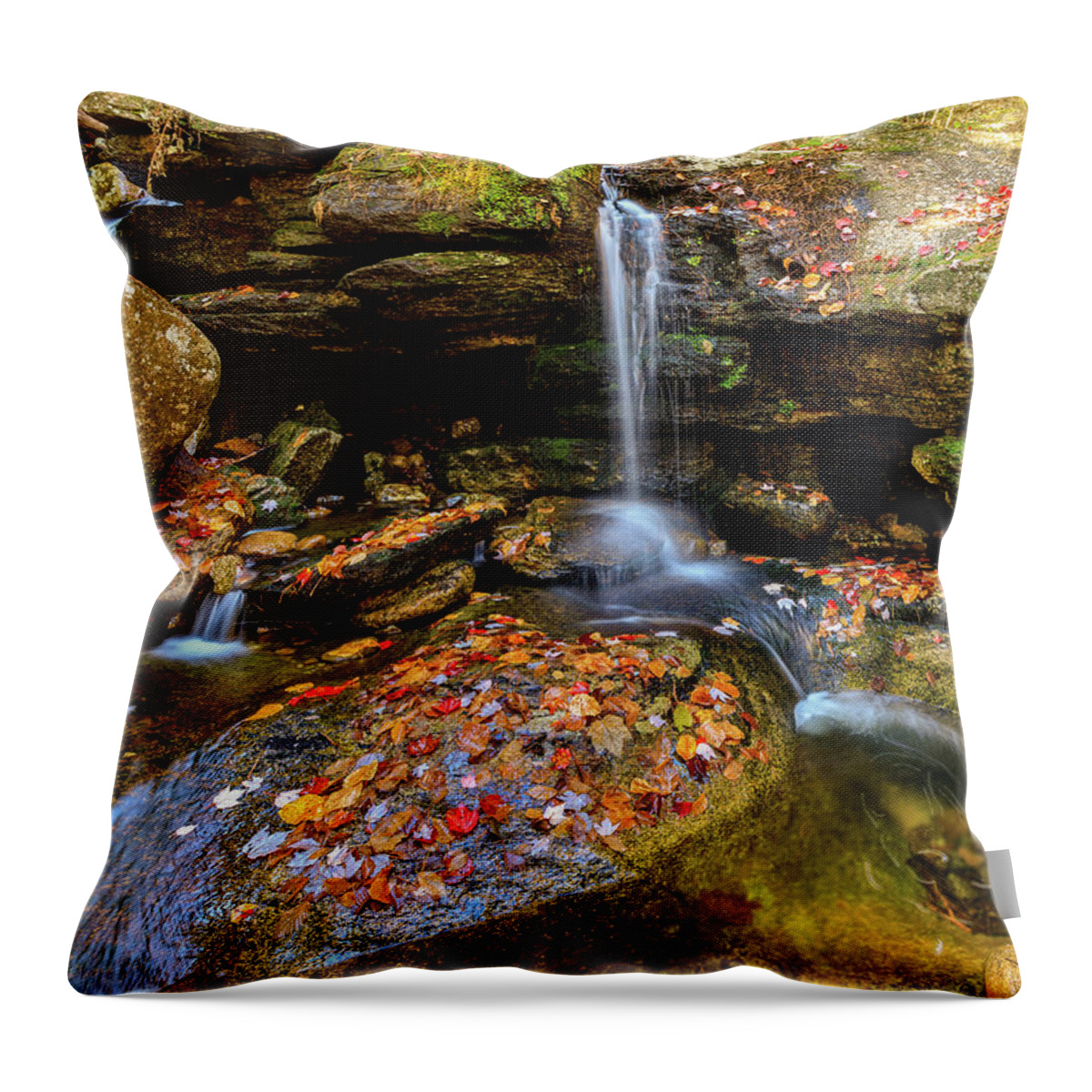 Diana's Baths; New Hampshire; New England; Waterfall; Falls; Autumn; Fall; Season; Color; Colorful; Leaves; Rocks; Romantic; Love; Heart; Beat; Relationship; Tender; Emotion; Desire; Landscape; Rob Davies; Photography; Conway; No Person Throw Pillow featuring the photograph Love Heart by Rob Davies