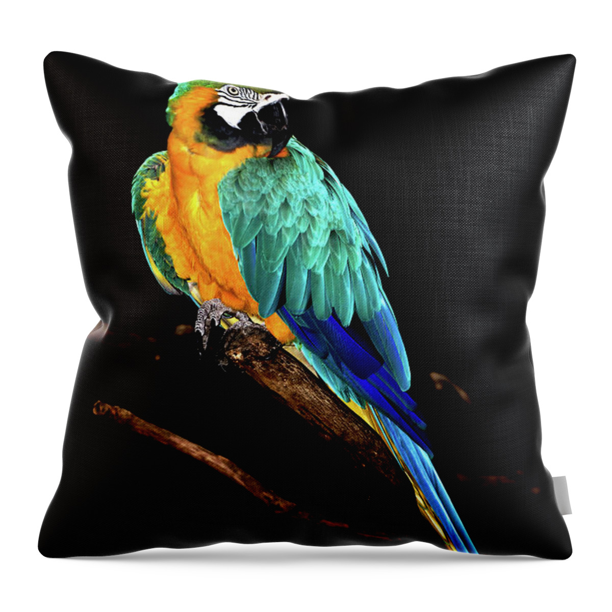 Macaw Throw Pillow featuring the photograph Macaw by David Keith Jr. (all Rights Reserved)