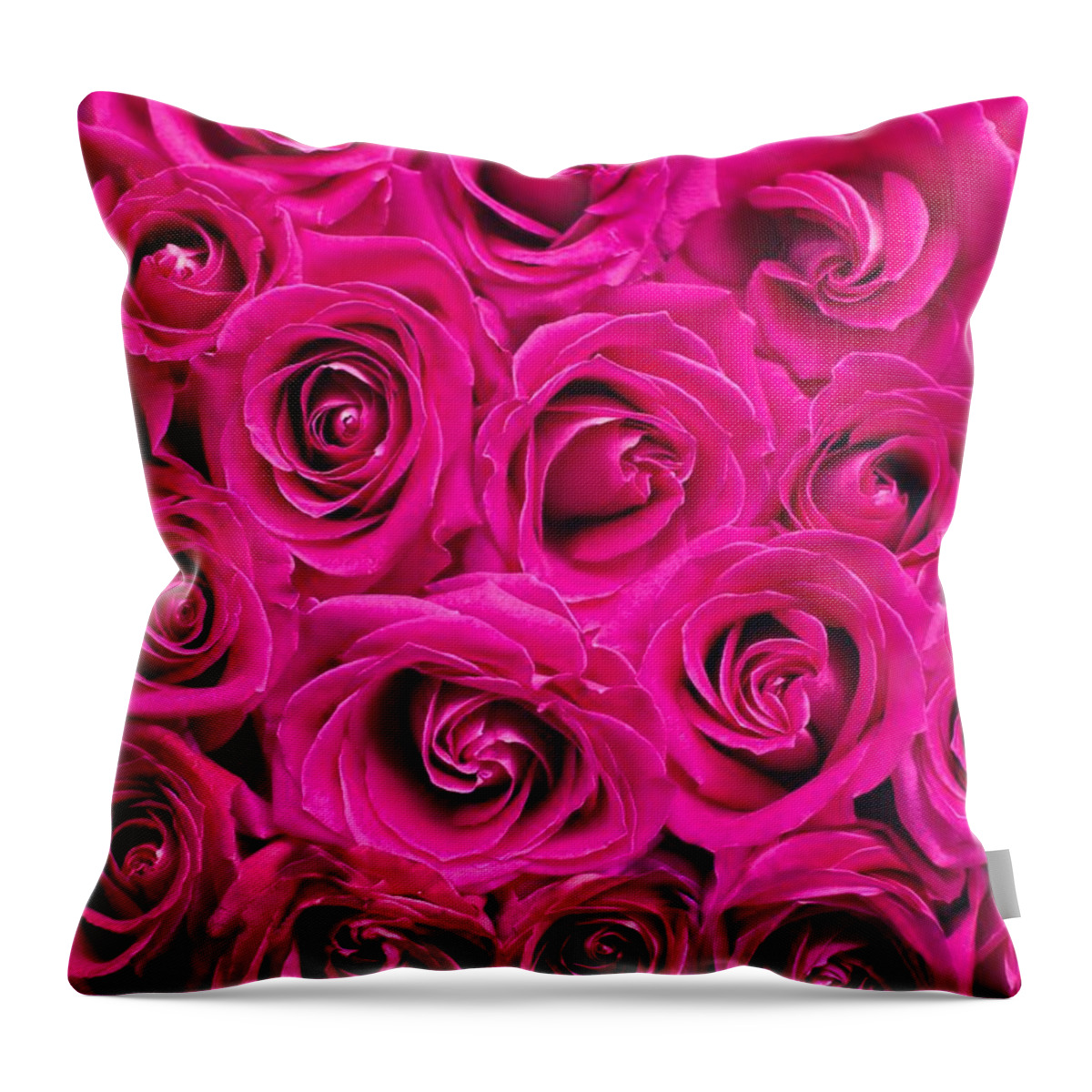 Flower Throw Pillow featuring the photograph Magenta roses by Top Wallpapers