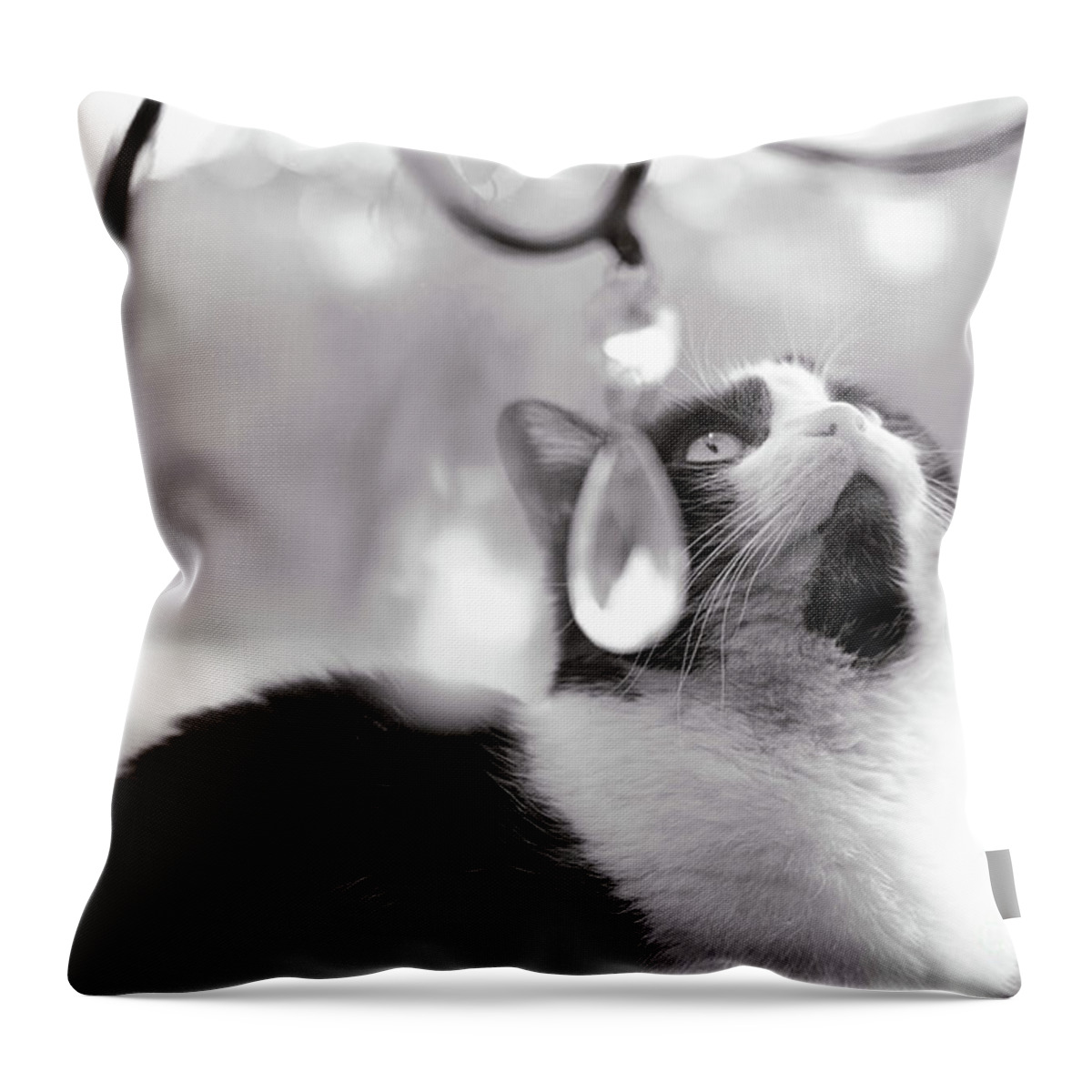 Cat Photograph Throw Pillow featuring the photograph Magic Crystals by Irina ArchAngelSkaya