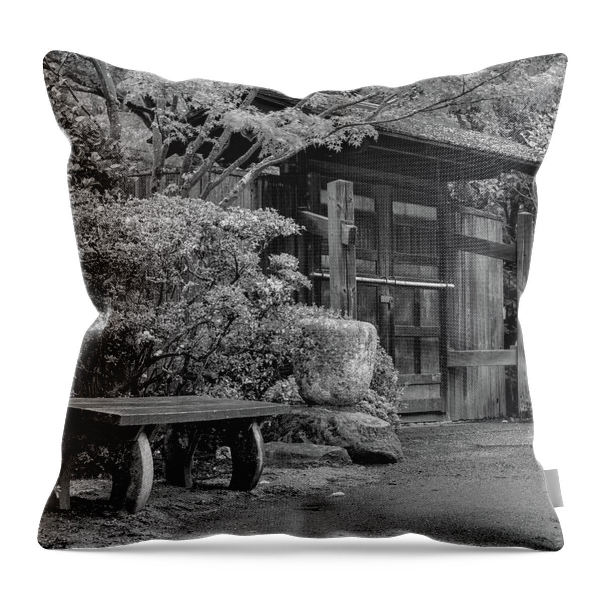 Japanese Garden Throw Pillow featuring the photograph Many Choices by Briand Sanderson